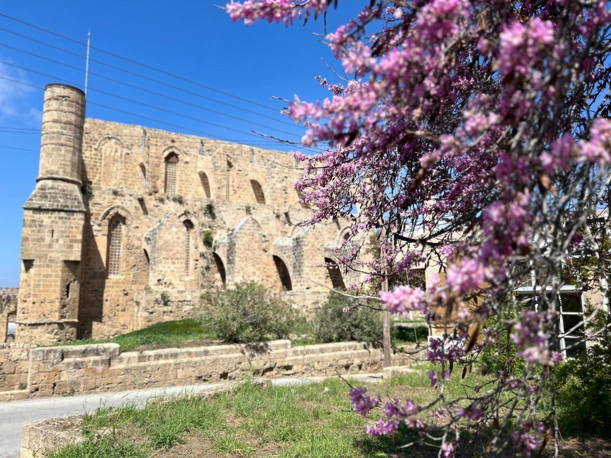 Royal Goddess Guest House, Walled City Famagusta  Esterno foto