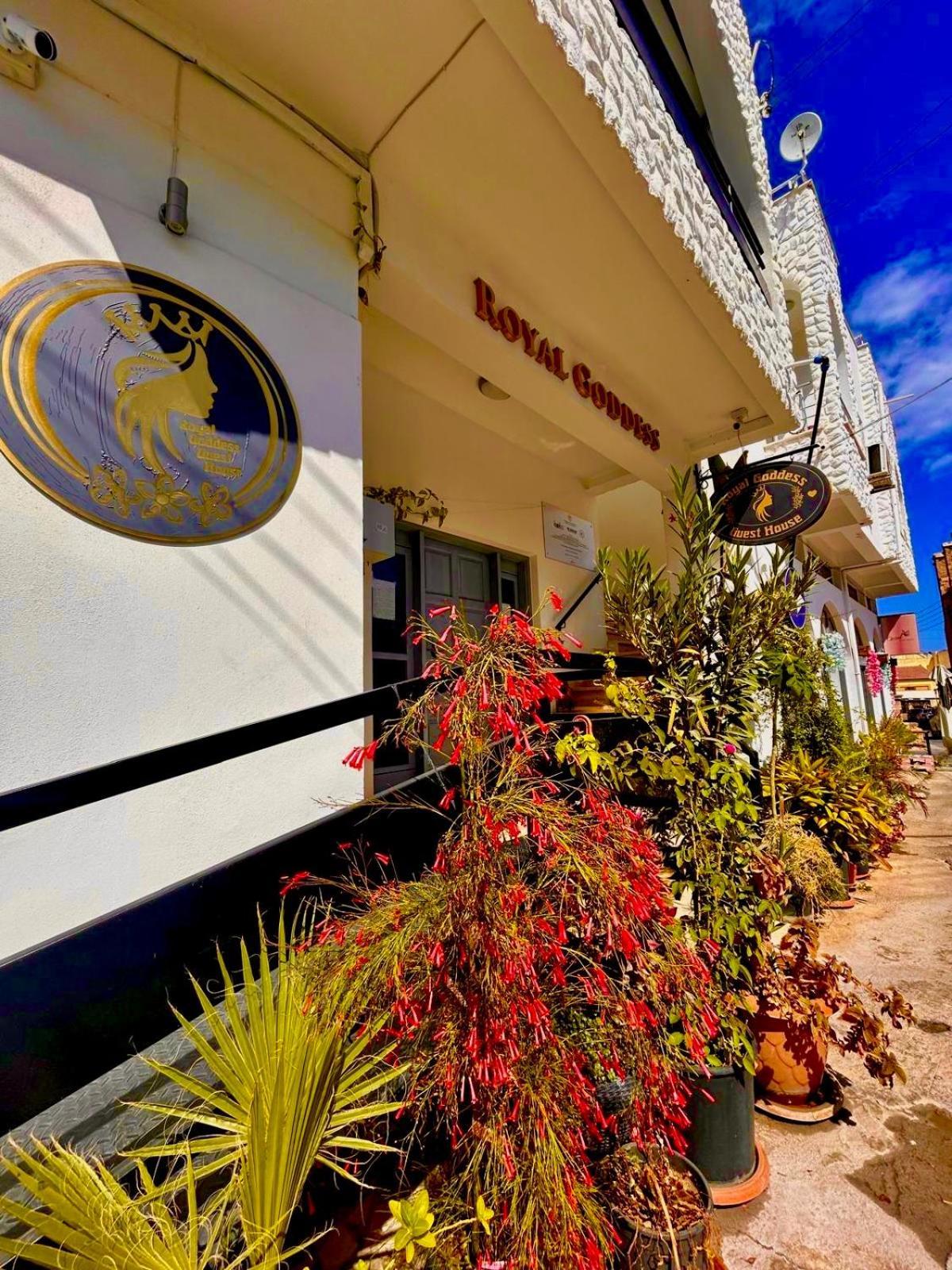 Royal Goddess Guest House, Walled City Famagusta  Esterno foto